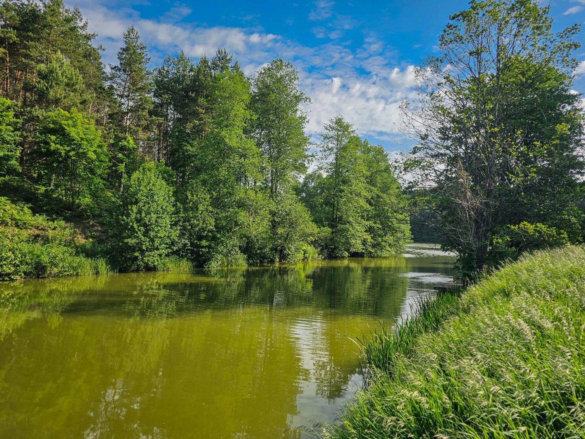 Dom Pod Klonem Na Kaszubach Villa Kościerzyna Eksteriør bilde