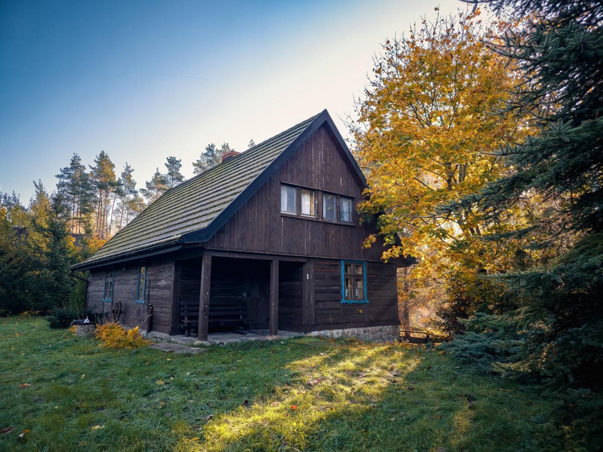 Dom Pod Klonem Na Kaszubach Villa Kościerzyna Eksteriør bilde