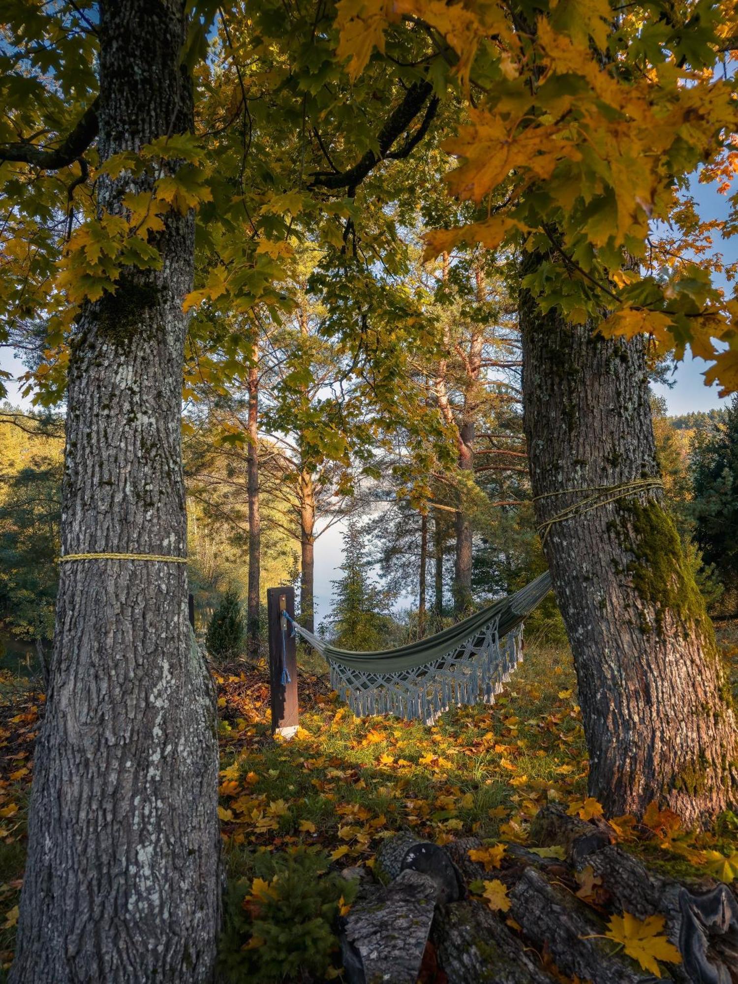 Dom Pod Klonem Na Kaszubach Villa Kościerzyna Eksteriør bilde