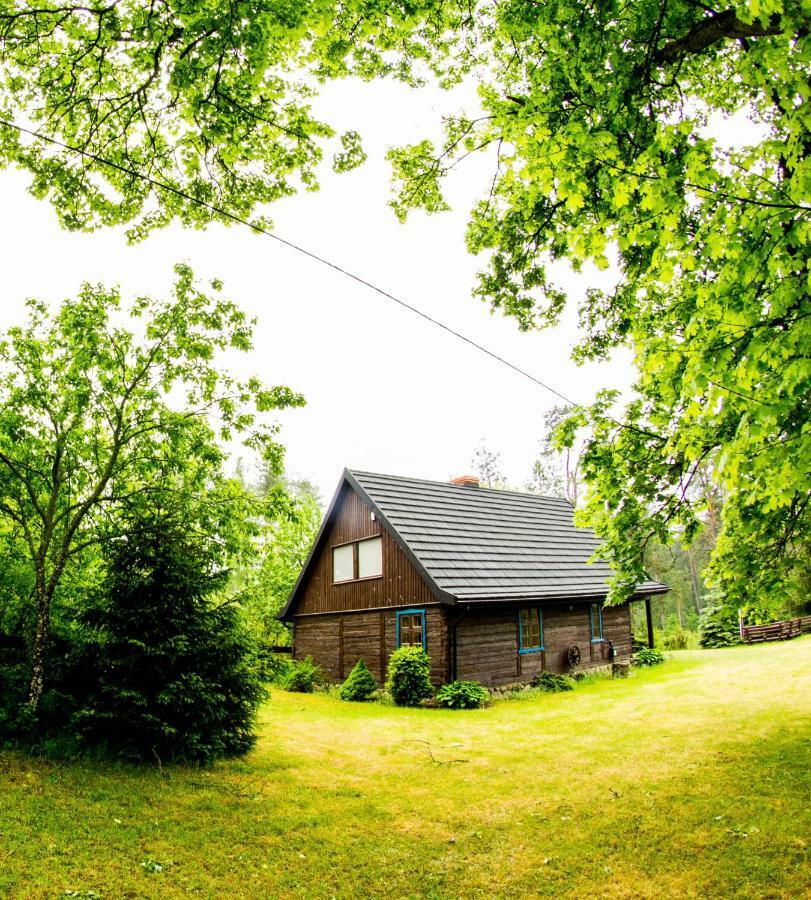 Dom Pod Klonem Na Kaszubach Villa Kościerzyna Eksteriør bilde