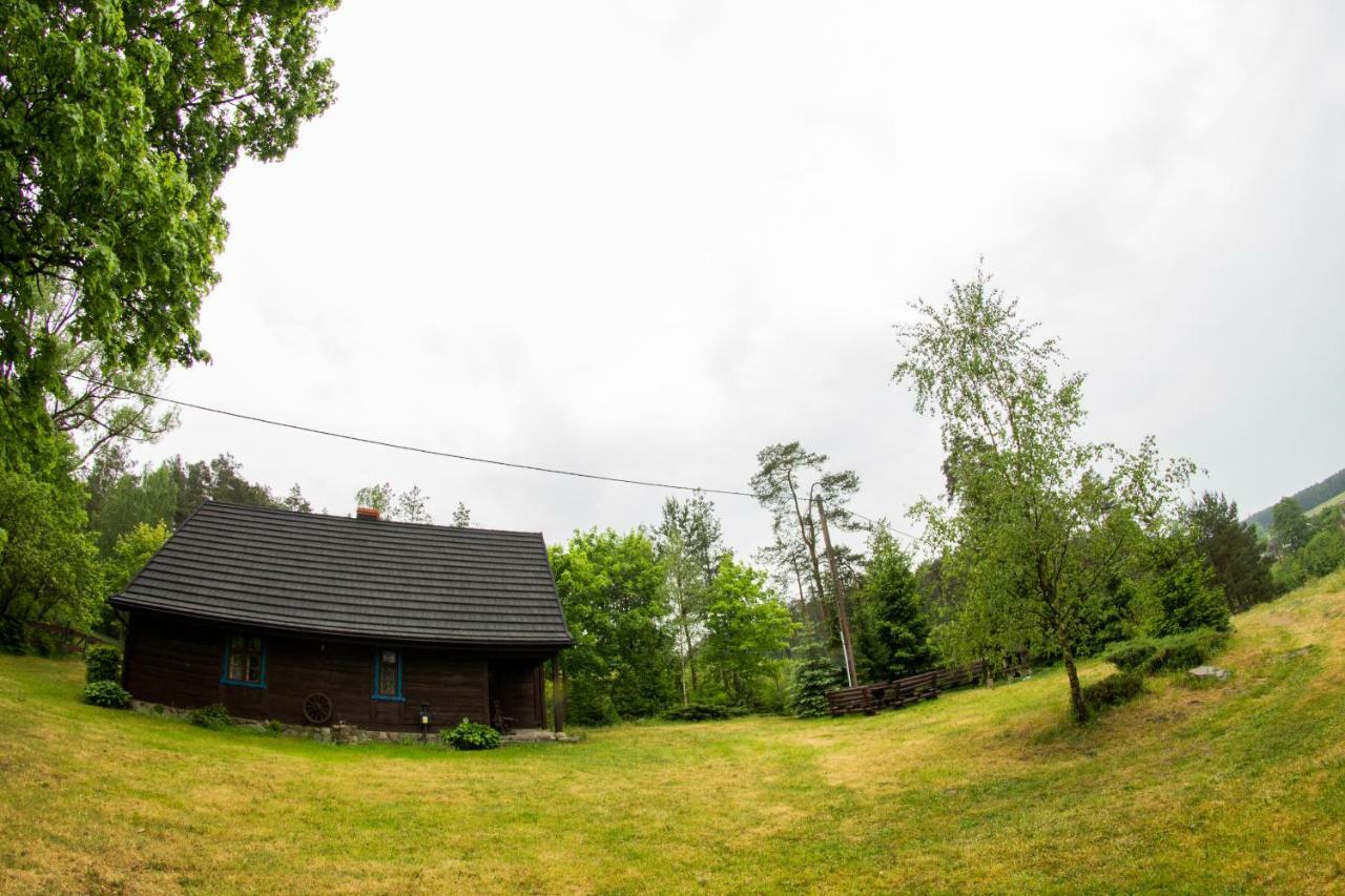 Dom Pod Klonem Na Kaszubach Villa Kościerzyna Eksteriør bilde